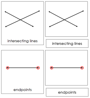 The Study of Lines 3-Part Cards - Montessori Print Shop
