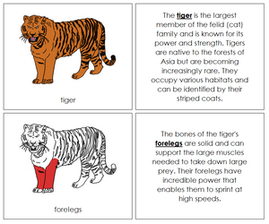 Tiger Nomenclature Book (red) - Montessori Print Shop