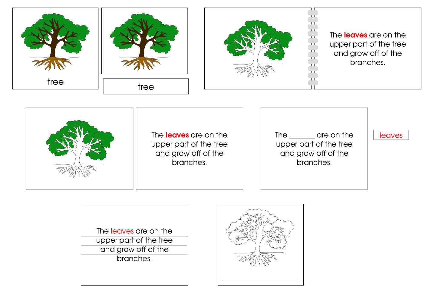 Trees Definiton Five-Part Tree Definition Set (color) - Montessori Print Shop Digital ...
