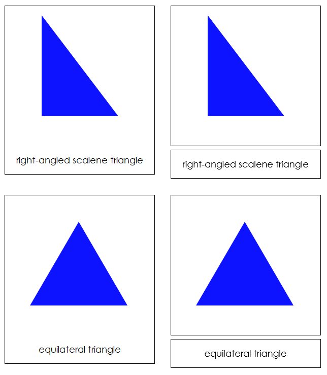 Geometric Shapes Sorting Cards & Chart Primary Geometry -  Portugal