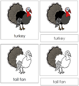 Turkey Nomenclature 3-Part Cards - Montessori Print Shop