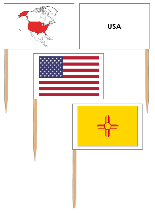 United States Flags: Pin Flags - Montessori geography materials