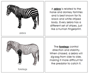 Parts of a Zebra Nomenclature Book - Montessori Print Shop