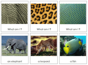 Animal Skin Matching Cards - Montessori Print Shop zoology cards