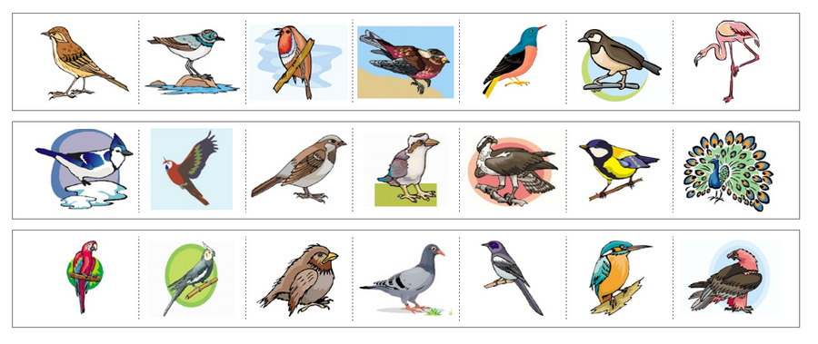 Birds Cutting Work - Preschool Activity by Montessori Print Shop