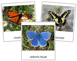 butterfly cards - Montessori Print Shop