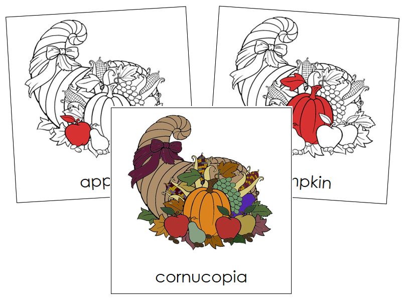 Cornucopia Nomenclature Cards (red) - Montessori Print Shop
