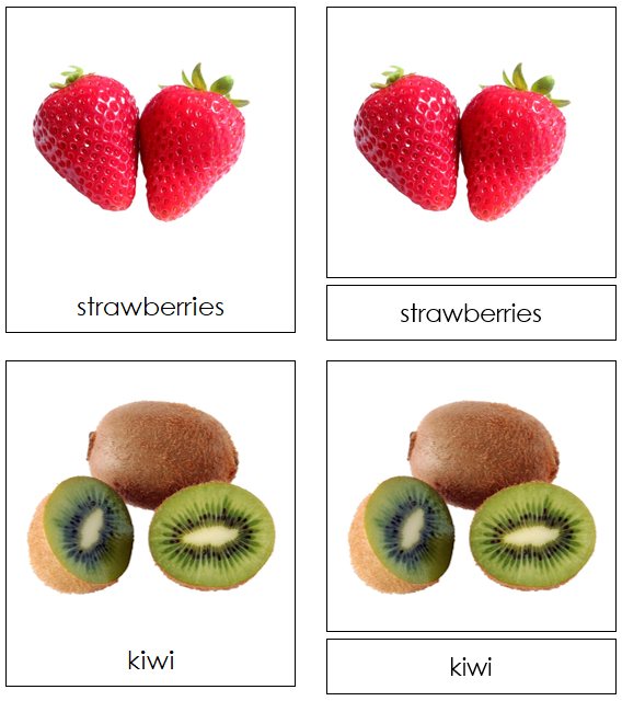 fruit 3-part cards - Montessori Print Shop