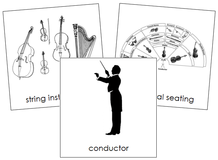 Orchestra Nomenclature Cards - Montessori Print Shop