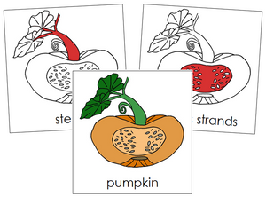 Pumpkin Nomenclature Cards (red) - Montessori Print Shop
