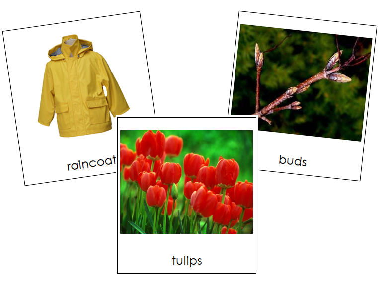 Spring and Summer Clothing - 3 Part Nomenclature Cards with Real