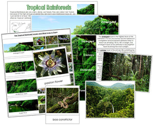 Tropical Rainforest Charts & Cards - Montessori Print Shop