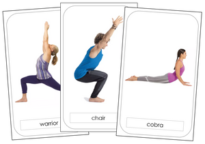 Yoga Poses - Free Montessori Print Shop Download
